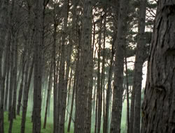 extant_XenaWarriorPrincess_4x02-AdventuresInTheSinTradeII_03032