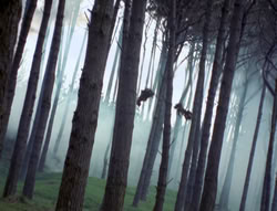 extant_XenaWarriorPrincess_4x02-AdventuresInTheSinTradeII_03055