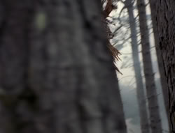 extant_XenaWarriorPrincess_4x02-AdventuresInTheSinTradeII_03061