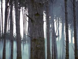 extant_XenaWarriorPrincess_4x02-AdventuresInTheSinTradeII_03068