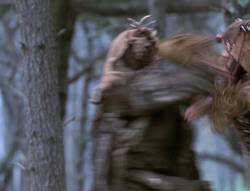 extant_XenaWarriorPrincess_4x02-AdventuresInTheSinTradeII_03069