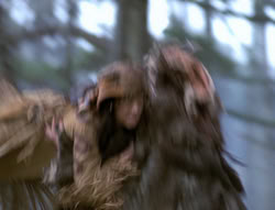 extant_XenaWarriorPrincess_4x02-AdventuresInTheSinTradeII_03070