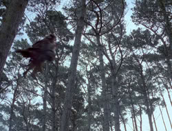 extant_XenaWarriorPrincess_4x02-AdventuresInTheSinTradeII_03089