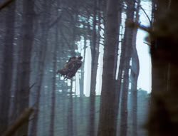 extant_XenaWarriorPrincess_4x02-AdventuresInTheSinTradeII_03092