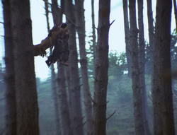 extant_XenaWarriorPrincess_4x02-AdventuresInTheSinTradeII_03093