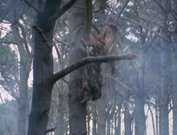 extant_XenaWarriorPrincess_4x02-AdventuresInTheSinTradeII_03103