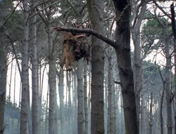 extant_XenaWarriorPrincess_4x02-AdventuresInTheSinTradeII_03105