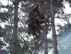 extant_XenaWarriorPrincess_4x02-AdventuresInTheSinTradeII_03109