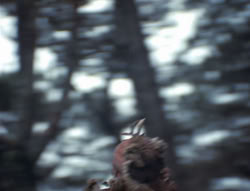 extant_XenaWarriorPrincess_4x02-AdventuresInTheSinTradeII_03112