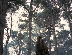 extant_XenaWarriorPrincess_4x02-AdventuresInTheSinTradeII_03116