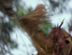 extant_XenaWarriorPrincess_4x02-AdventuresInTheSinTradeII_03129