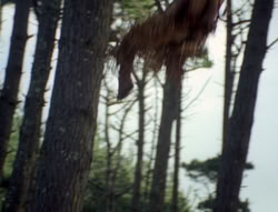 extant_XenaWarriorPrincess_4x02-AdventuresInTheSinTradeII_03130