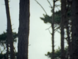 extant_XenaWarriorPrincess_4x02-AdventuresInTheSinTradeII_03131