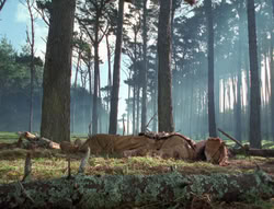 extant_XenaWarriorPrincess_4x02-AdventuresInTheSinTradeII_03163