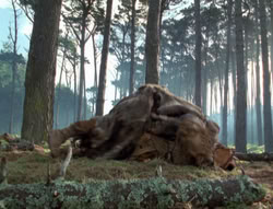 extant_XenaWarriorPrincess_4x02-AdventuresInTheSinTradeII_03166