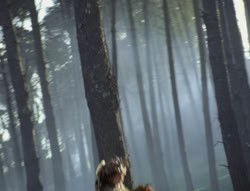 extant_XenaWarriorPrincess_4x02-AdventuresInTheSinTradeII_03168