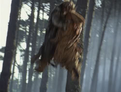extant_XenaWarriorPrincess_4x02-AdventuresInTheSinTradeII_03169