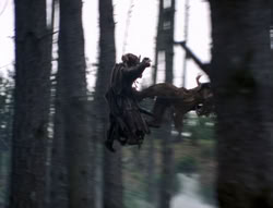 extant_XenaWarriorPrincess_4x02-AdventuresInTheSinTradeII_03271