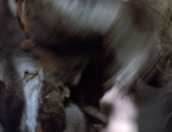 extant_XenaWarriorPrincess_4x02-AdventuresInTheSinTradeII_03272