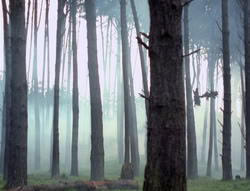 extant_XenaWarriorPrincess_4x02-AdventuresInTheSinTradeII_03275