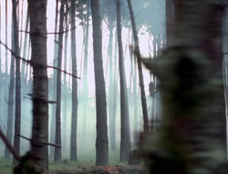 extant_XenaWarriorPrincess_4x02-AdventuresInTheSinTradeII_03276
