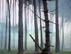 extant_XenaWarriorPrincess_4x02-AdventuresInTheSinTradeII_03277