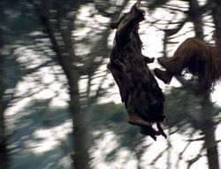 extant_XenaWarriorPrincess_4x02-AdventuresInTheSinTradeII_03279