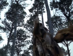 extant_XenaWarriorPrincess_4x02-AdventuresInTheSinTradeII_03282