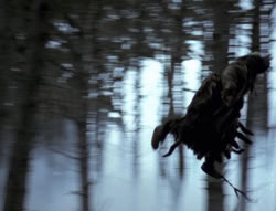 extant_XenaWarriorPrincess_4x02-AdventuresInTheSinTradeII_03285