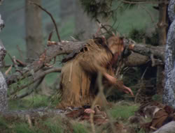 extant_XenaWarriorPrincess_4x02-AdventuresInTheSinTradeII_03382