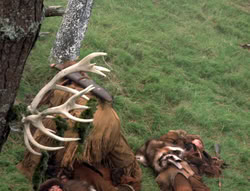 extant_XenaWarriorPrincess_4x02-AdventuresInTheSinTradeII_03389