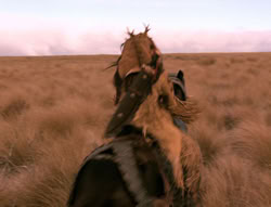 extant_XenaWarriorPrincess_4x02-AdventuresInTheSinTradeII_03563