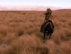 extant_XenaWarriorPrincess_4x02-AdventuresInTheSinTradeII_03565