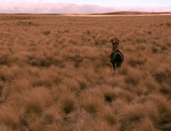 extant_XenaWarriorPrincess_4x02-AdventuresInTheSinTradeII_03568