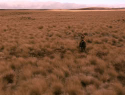 extant_XenaWarriorPrincess_4x02-AdventuresInTheSinTradeII_03570