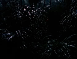 extant_XenaWarriorPrincess_4x03_AFamilyAffair_00075