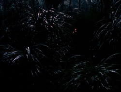 extant_XenaWarriorPrincess_4x03_AFamilyAffair_00076