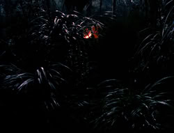 extant_XenaWarriorPrincess_4x03_AFamilyAffair_00078