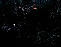 extant_XenaWarriorPrincess_4x03_AFamilyAffair_00079