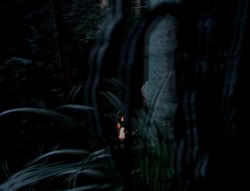 extant_XenaWarriorPrincess_4x03_AFamilyAffair_00086