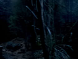 extant_XenaWarriorPrincess_4x03_AFamilyAffair_00102