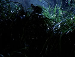 extant_XenaWarriorPrincess_4x03_AFamilyAffair_00118
