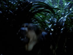 extant_XenaWarriorPrincess_4x03_AFamilyAffair_00119