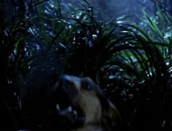 extant_XenaWarriorPrincess_4x03_AFamilyAffair_00122