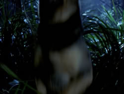 extant_XenaWarriorPrincess_4x03_AFamilyAffair_00123