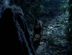 extant_XenaWarriorPrincess_4x03_AFamilyAffair_00125