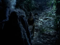 extant_XenaWarriorPrincess_4x03_AFamilyAffair_00126