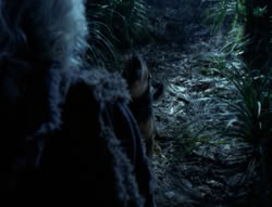 extant_XenaWarriorPrincess_4x03_AFamilyAffair_00127