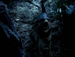 extant_XenaWarriorPrincess_4x03_AFamilyAffair_00134