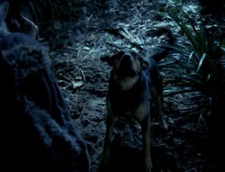 extant_XenaWarriorPrincess_4x03_AFamilyAffair_00136